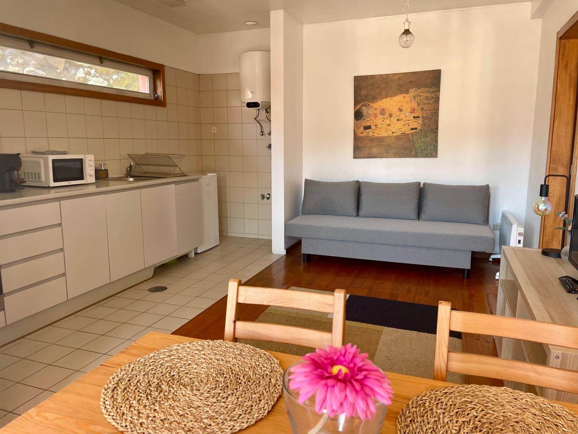 Douro River Charming Flats ปอร์โต ภายนอก รูปภาพ